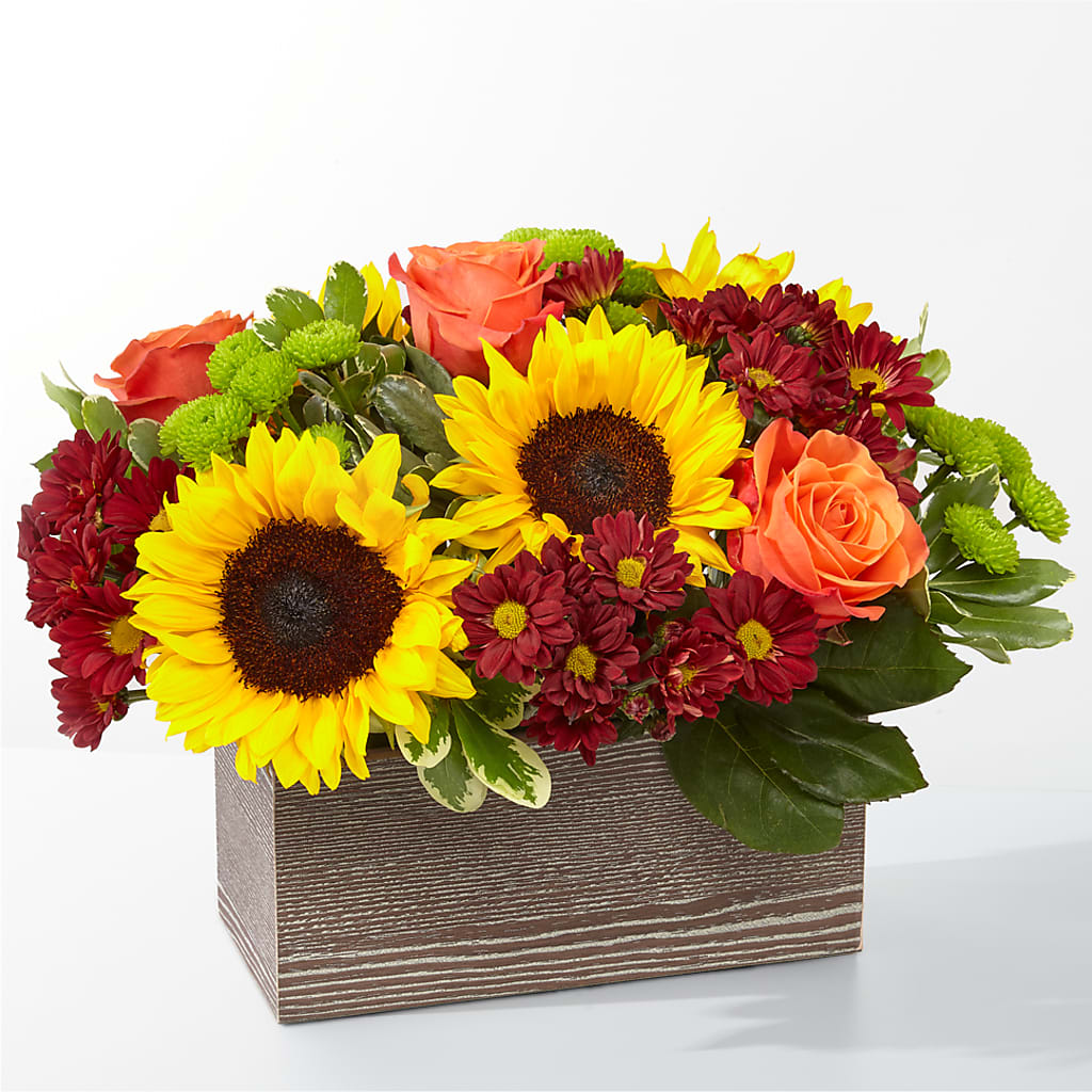Happy Harvest Garden –  Fellows Fernlea Flowers, St Thomas ON