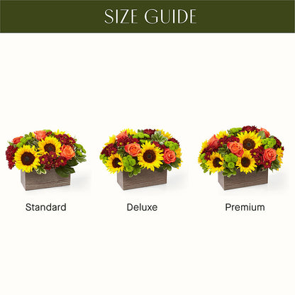 Happy Harvest Garden –  Fellows Fernlea Flowers, St Thomas ON