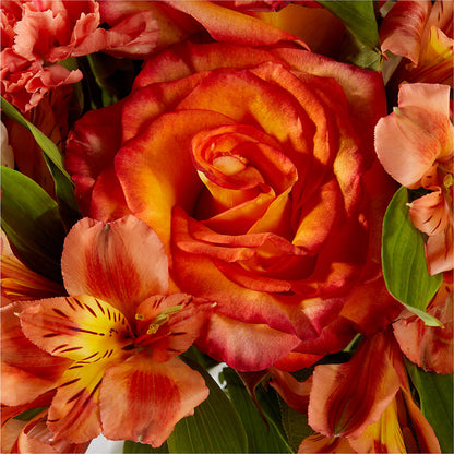 Apricot Glow Bouquet –  Fellows Fernlea Flowers, St Thomas ON